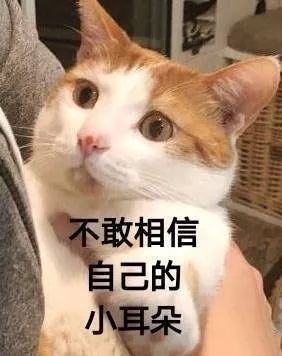神奇，丟失一年的蘋果手機(jī)從韓國被找回